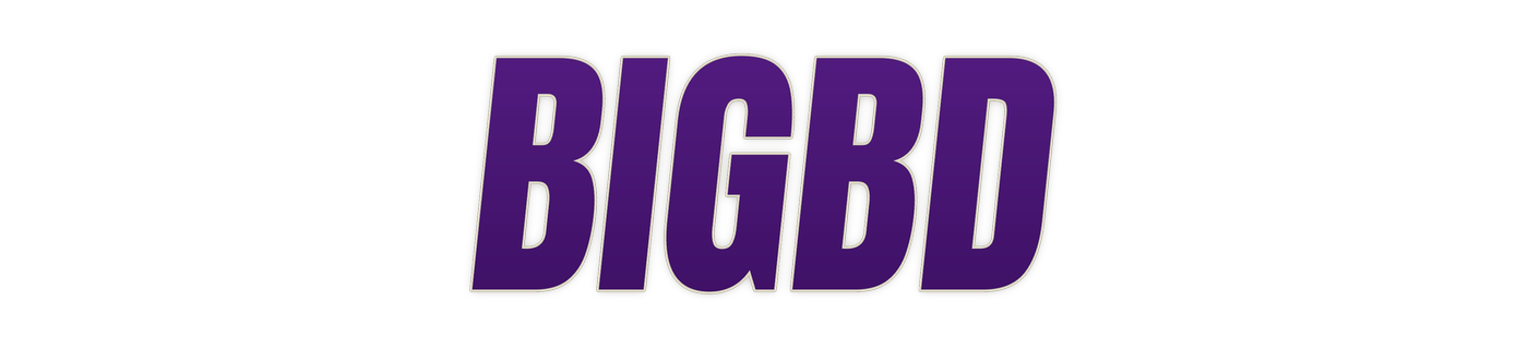 bigbd লোগো